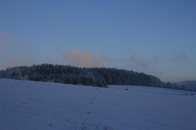 Bieszczady 12.2007 052